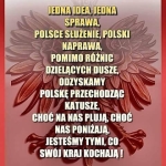 12115508_468759456618681_7241423041575017746_n