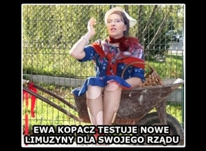 kopacz-limuzyna