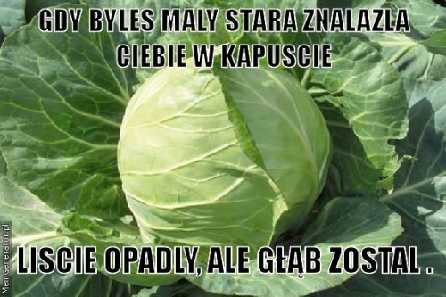 gdy-byles-maly-stara-znalazla-ciebie-w-kapuscie-liscie-opadly-ale-glab-zostal-pl-000000