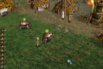 Polanie2cow