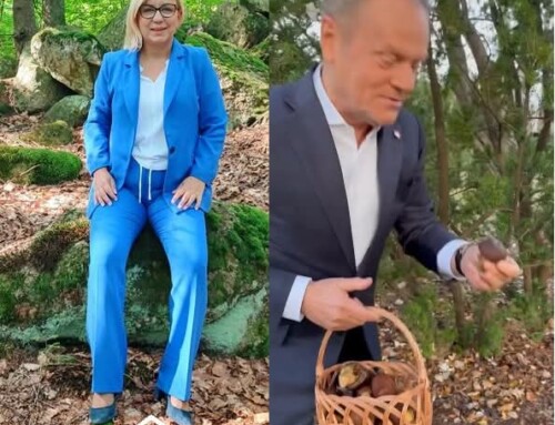 Politycy w lasach – od szpilek i grzybów po spekulacje o przyszłej partyzantce