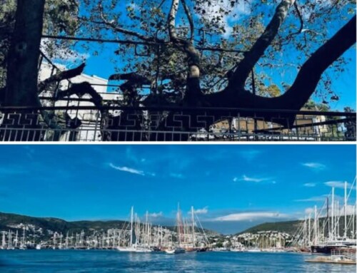 HERODOT I HIPOKRATES, ROZDZIELENI CIEŚNINĄ KOS