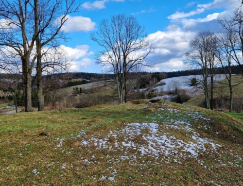 Lutowiska – trudna prawda o&nbsp;wojnie, strachu i&nbsp;pamięci