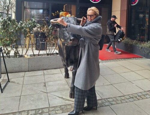 Chwycić byka za&nbsp;rogi i… wygrać! 