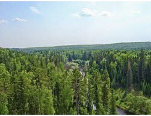 WSZAK I&nbsp;KLOC. Odcinek: „Ucieczka przez&nbsp;tajgę”