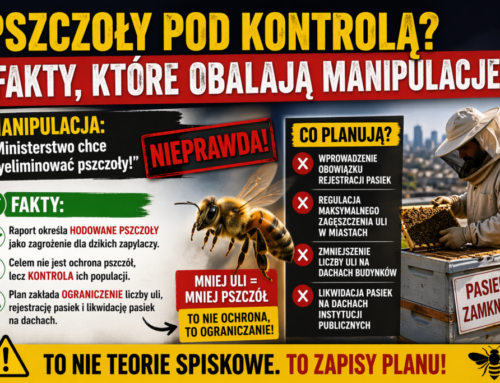 Pszczoły pod&nbsp;kontrolą? Fakty które obalają mity!