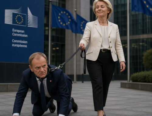 Feudalizm w&nbsp;garniturze – polityka zależności