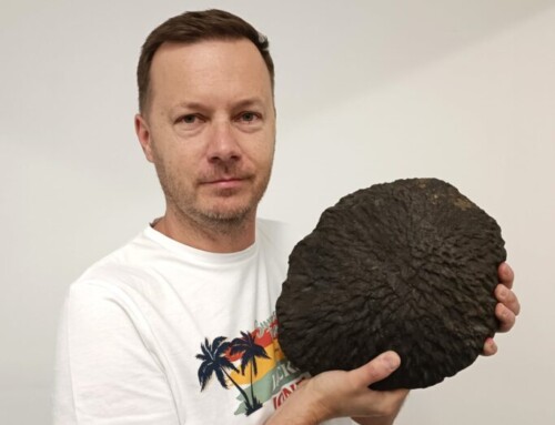 Dr&nbsp;Eligiusz Szełęg. Geolog, mineralog, miłośnik meteorytów