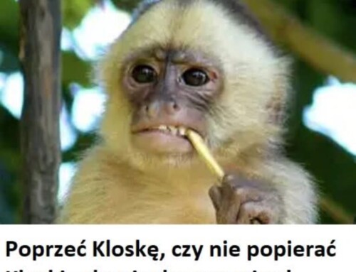 Prof.&nbsp;Romuald Szeremietiew: Dylemat małpki!