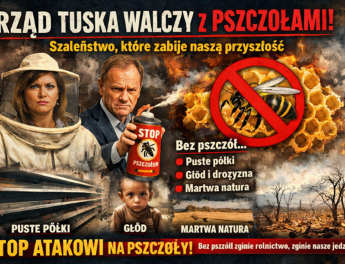 Rząd Tuska idzie na&nbsp;wojnę z&nbsp;pszczołami!