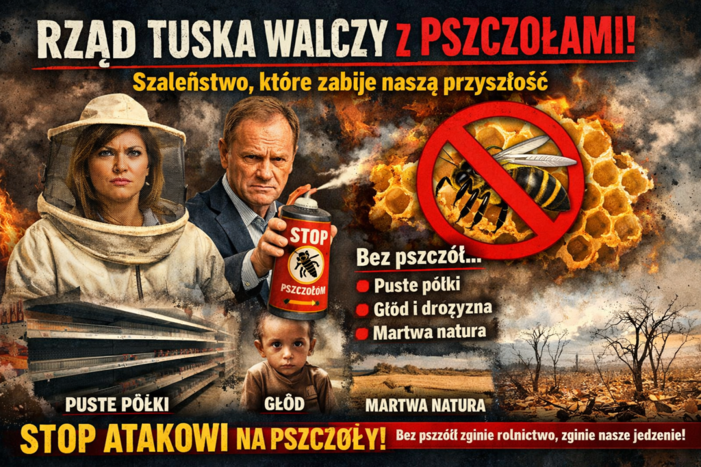 Rząd Tuska idzie na wojnę z pszczołami!
