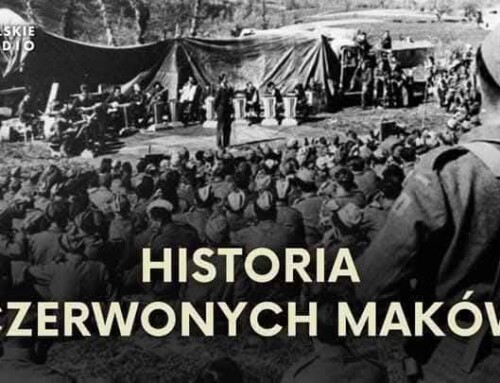 „Czerwone maki na&nbsp;Monte Cassino”