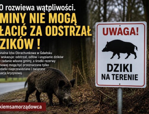Gminy nie&nbsp;mogą płacić za&nbsp;odstrzał dzików!