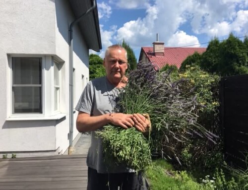 MAJÓWKA NA&nbsp;WSI czyli, wsi spokojna, wsi wesoła