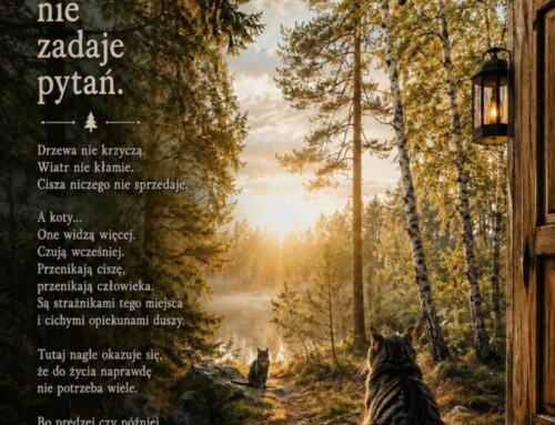 Las nie&nbsp;zadaje pytań