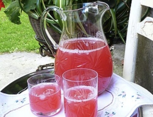 FRUIT WATER CZYLI KOMPOT czyli jak nasz specjał podbija USA