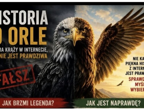 Mit orła i&nbsp;wartość prawdy