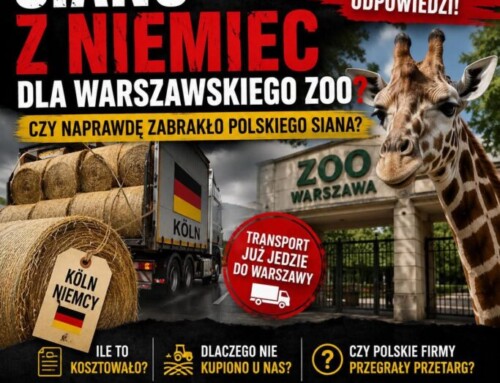 Operacja „Siano Grozy”. Trzaskowski odkrywa, że&nbsp;żyrafa nie&nbsp;żyje żurkiem