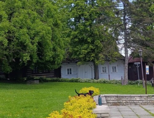 660 lat Lanckorony – święto wszystkich mieszkańców, a&nbsp;nie&nbsp;wybranych