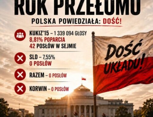 Kukiz’15 – niewykorzystany moment