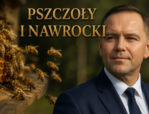 Pszczoły i&nbsp;Nawrocki. Taka moja opowiastka