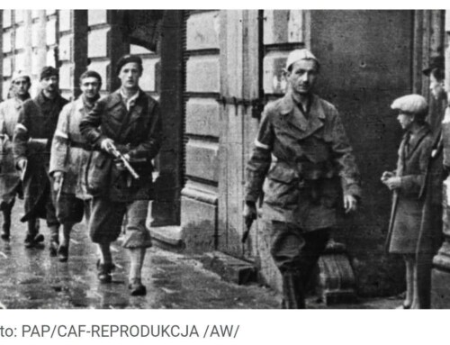 Między legendą a&nbsp;rachunkiem ofiar. Spór o&nbsp;Powstanie Warszawskie