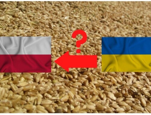 Wojna, której&nbsp;rachunek płaci Polska