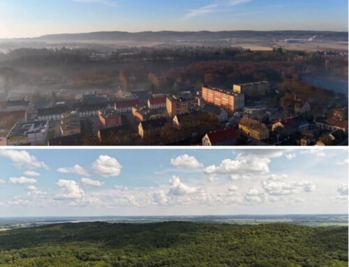 NA&nbsp;GRZYBY, Z&nbsp;WYRZYSKA DO&nbsp;POLANOWA I&nbsp;DALEJ czyli, powrót do&nbsp;przeszłości