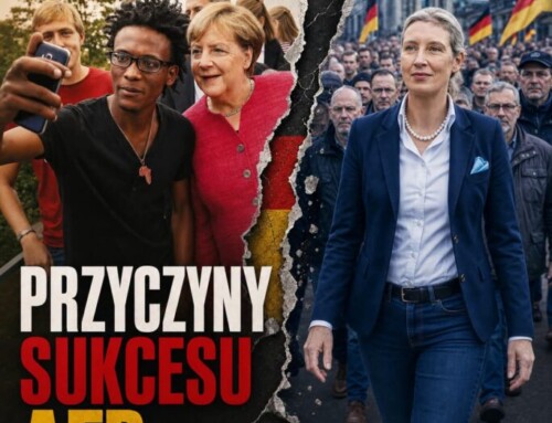 Robert Winnicki: Przyczyny sukcesu AfD