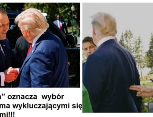 Alternatywa: Berlin lub Waszyngton!