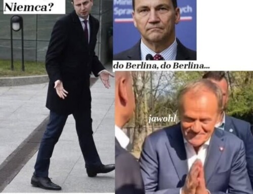 Moralność Kalego w&nbsp;KOalicji 13 grudnia