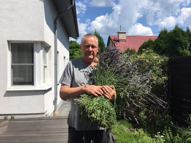 MAJÓWKA NA&nbsp;WSI czyli, wsi spokojna, wsi wesoła